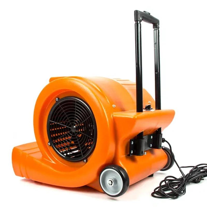 How to Dry Carpet Faster After Cleaning