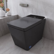 T2605 Matte Gray Smart Toilet with LED Screen & Bidet (image 1)