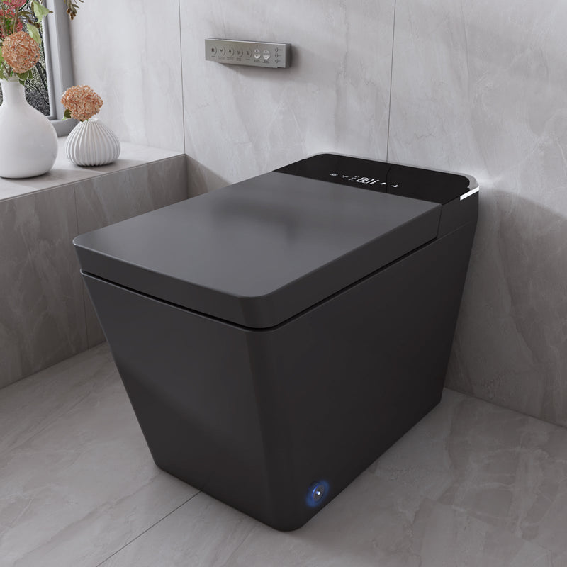 T2605 Matte Gray Smart Toilet with LED Screen & Bidet (image 1)