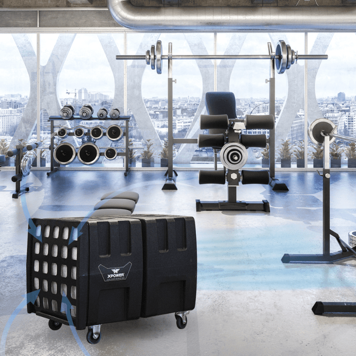 AP 2000 Gym.