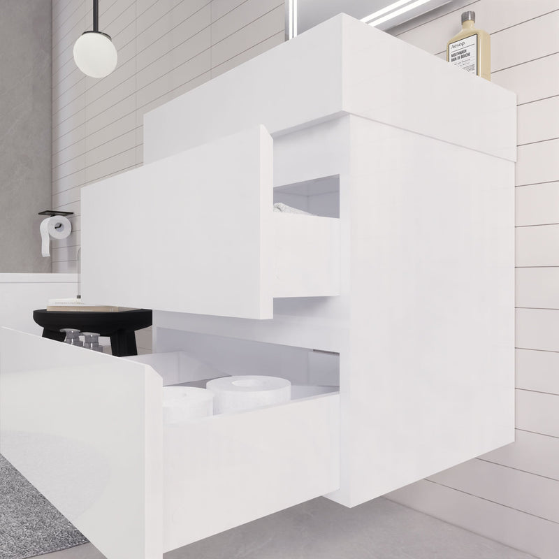 Monterey 24" Wall Mounted Vanity with Reinforced Acrylic Sinks