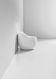 Beno Series Rounded Toilet | Single Flush 2085 (image 3)