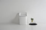 Beno Series Square Toilet | Single Flush (image 6)