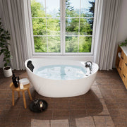 Empava 67" Freestanding Whirlpool Bathtub with Reversible Drain | EMPV-67AIS02 (image 1)
