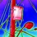 Teledyne Flir T840 close up thermal image of electrical box on power pole