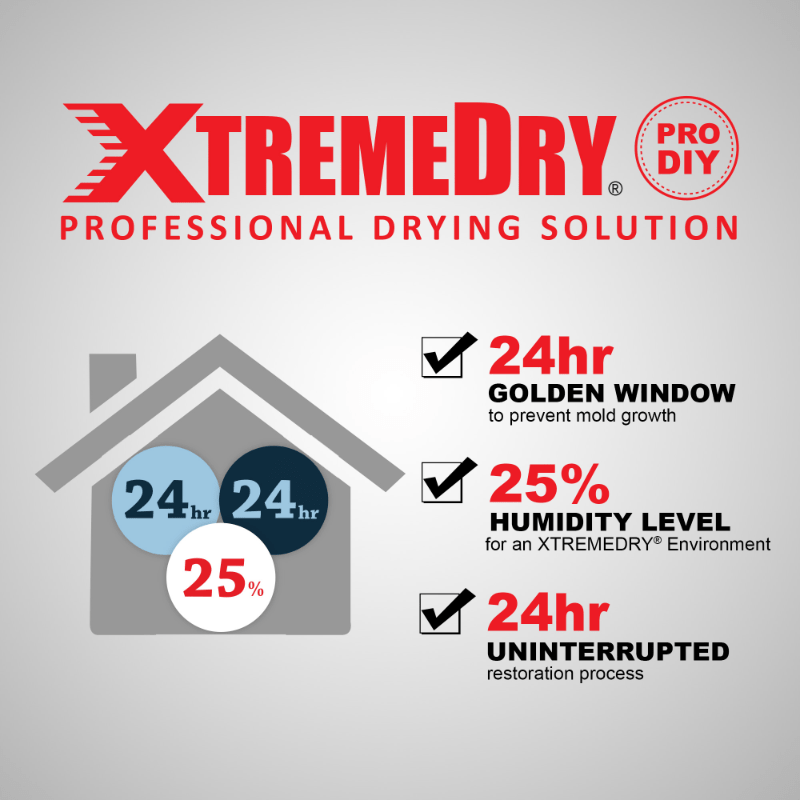 XTREMEDRY 24hour 25percent 24hour.