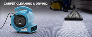AlorAir GE1000 drying carpet beside a carpet cleaning wand, with a Carpet Cleaning and Drying label