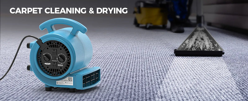 AlorAir GE1000AT drying carpet beside a carpet cleaning wand, with a Carpet Cleaning and Drying label