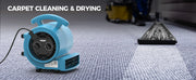 AlorAir GE1000T drying carpet beside a carpet cleaning wand, with a Carpet Cleaning and Drying label