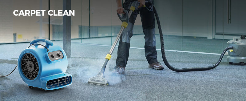 AlorAir GE2000T drying carpet beside a steam carpet cleaning wand, with a Carpet Clean label
