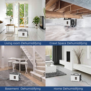 AlorAir Sentinel HD35P in a living room, a crawl space, a basement and a home