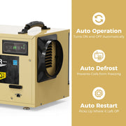 Gold AlorAir Sentinel HD55S beside icons for auto operation, auto defrost and auto restart