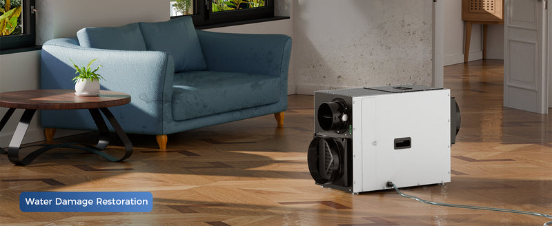 AlorAir Sentinel WHD120 on a wood floor beside a sofa, labeled Water Damage Restoration