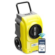 AlorAir Storm Elite in yellow and gray, front three-quarter view beside a phone showing the AlorAir app