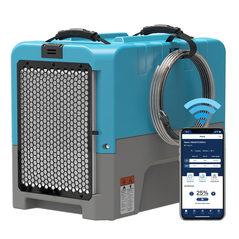 AlorAir Storm LGR Extreme WiFi in blue with a phone showing the AlorAir app