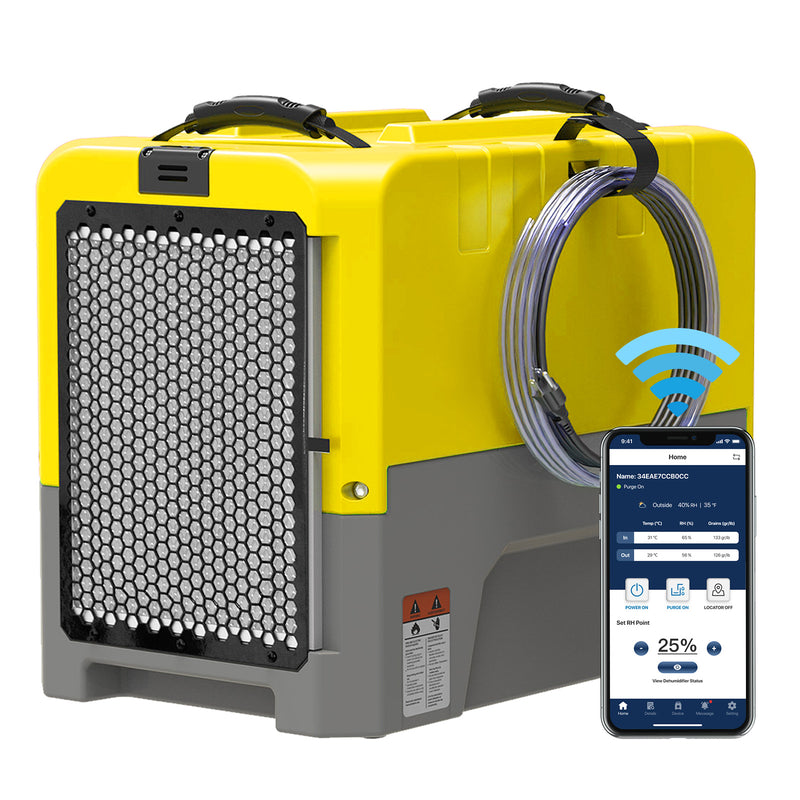 AlorAir Storm LGR Extreme WiFi in yellow with a phone showing the AlorAir app