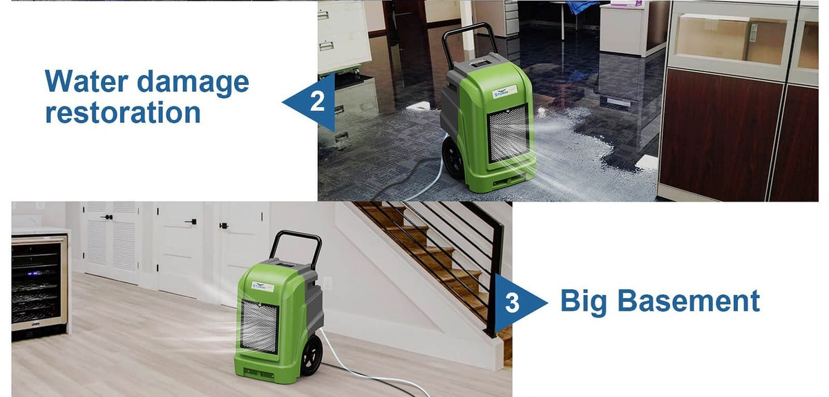 WiFi standard on all four colors