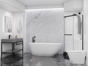 ANZZI FT-AZ401 Ami Series 67" Freestanding Soaker Tub with Elegant Curve, product view 3