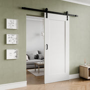ANZZI ID-AZBD09 Cenote sliding barn door, main product photo