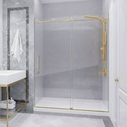 ANZZI SD-AZ13-02BG Frameless Sliding Shower Door product photo