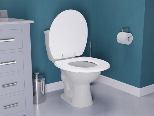 ANZZI T1-AZ301WH toilet seat, installed room view 1