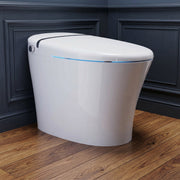 ANZZI TL-STSF851WH smart bidet toilet, installed room view 4