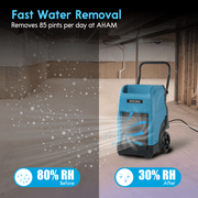 cd 90l lgr dehumidifier infographic2.