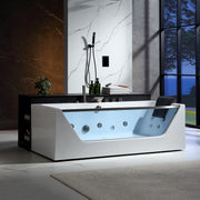 Empava EMPV-71JT408-BN whirlpool tub in front of a dark ledge, front view, brushed nickel fixtures