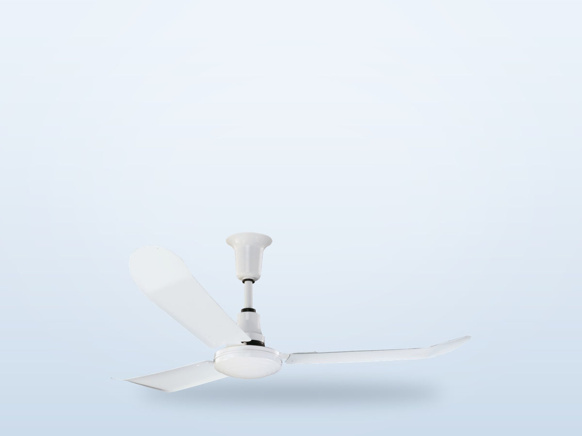 One Fan For Summer And Winter