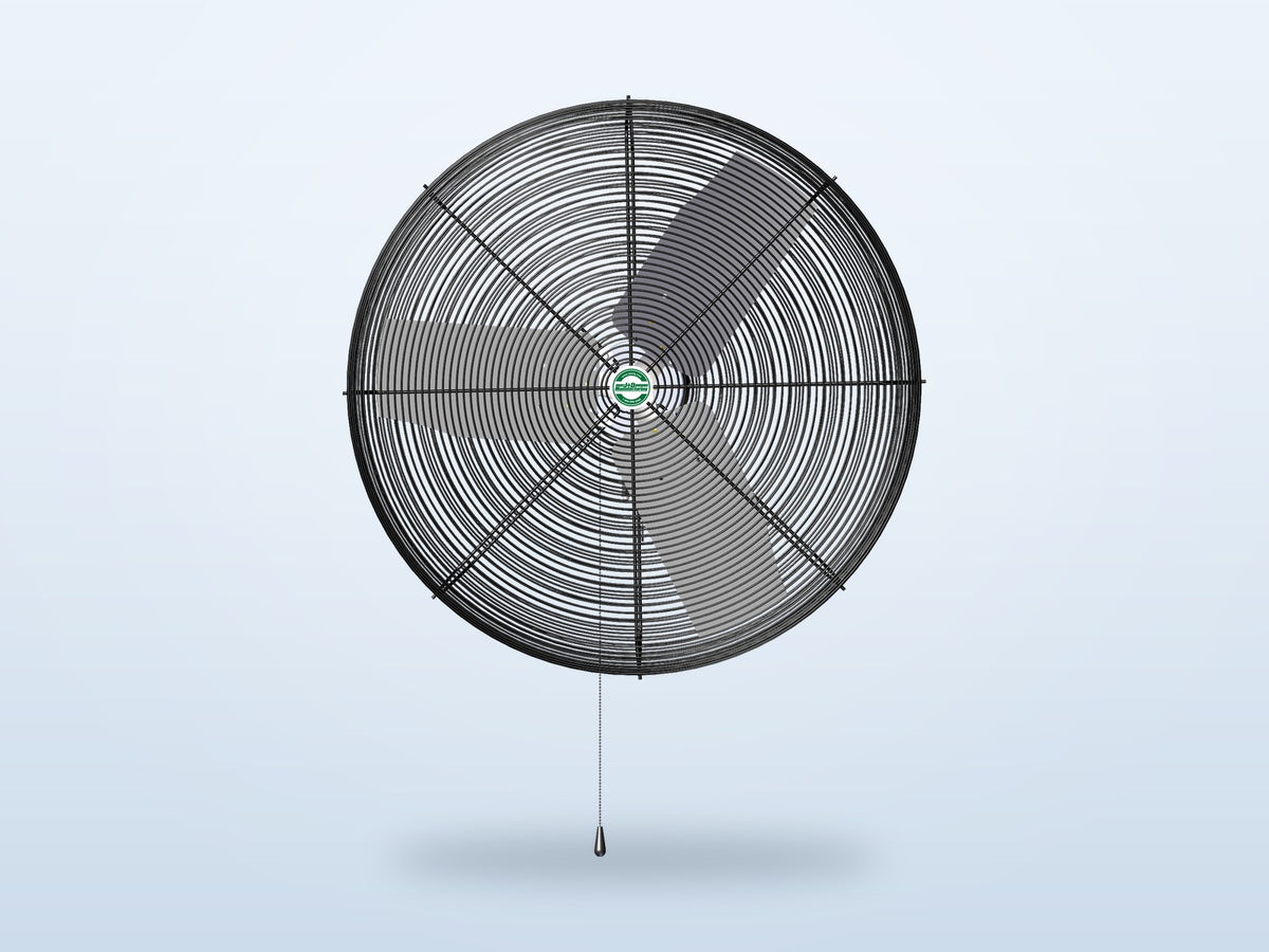 The 30" Oscillating Model