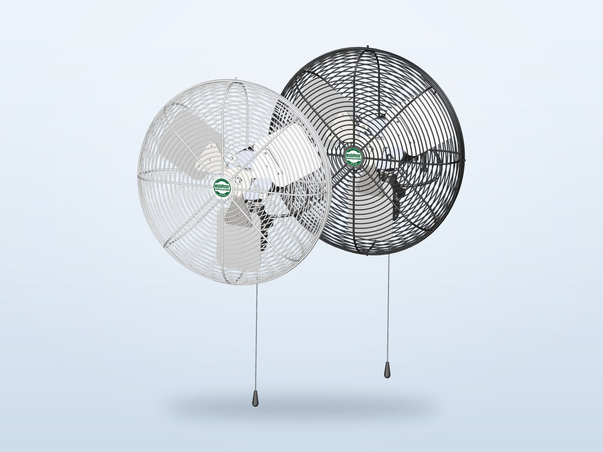 Black Or White, Fixed Or Swept