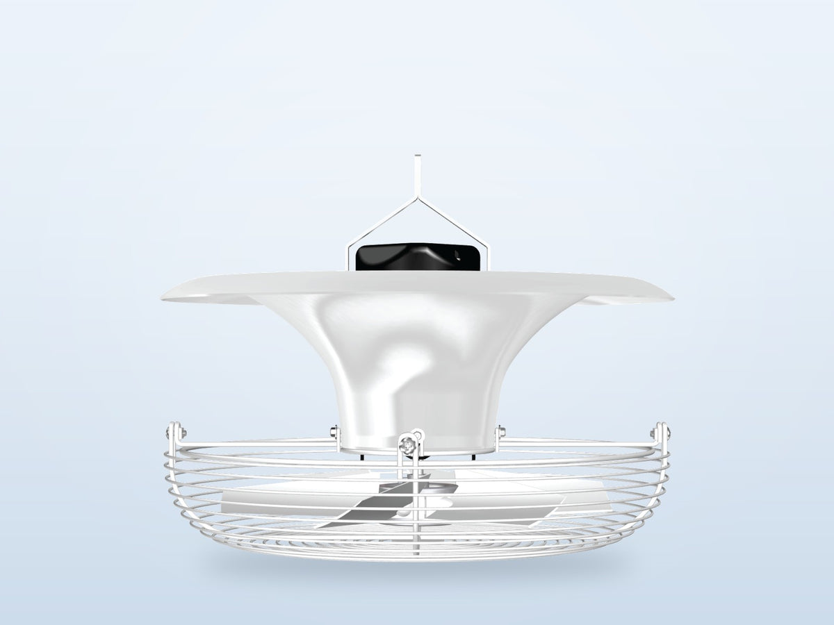 Gold Star Motor Rated IP66