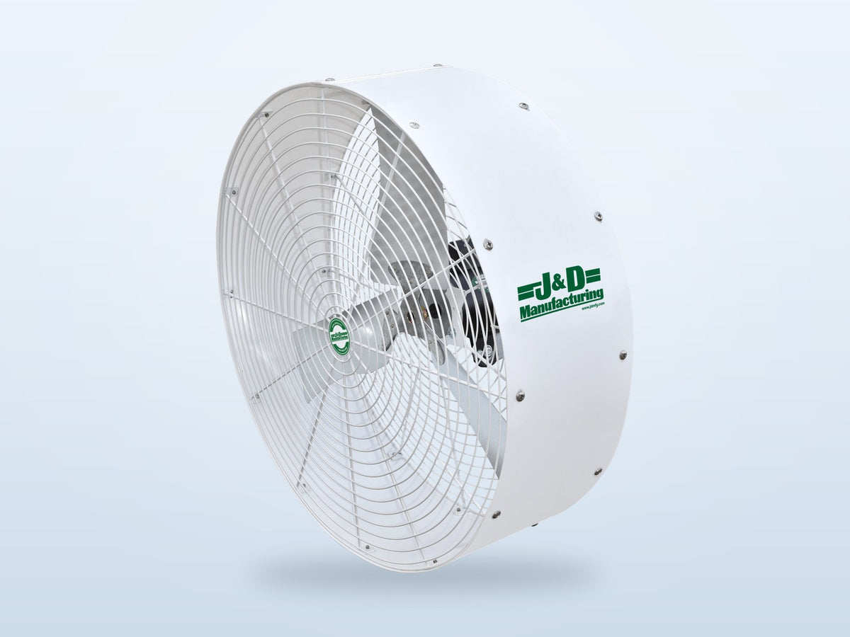 A Poly Fan For Damp Buildings