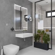 Nantucket Sinks NS-NPCS28W 28" sink wall-mounted under a lit mirror next to a planter