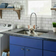 Nantucket Sinks SR2318-12-16 installed in granite over blue cabinets with a puppy in the bowl