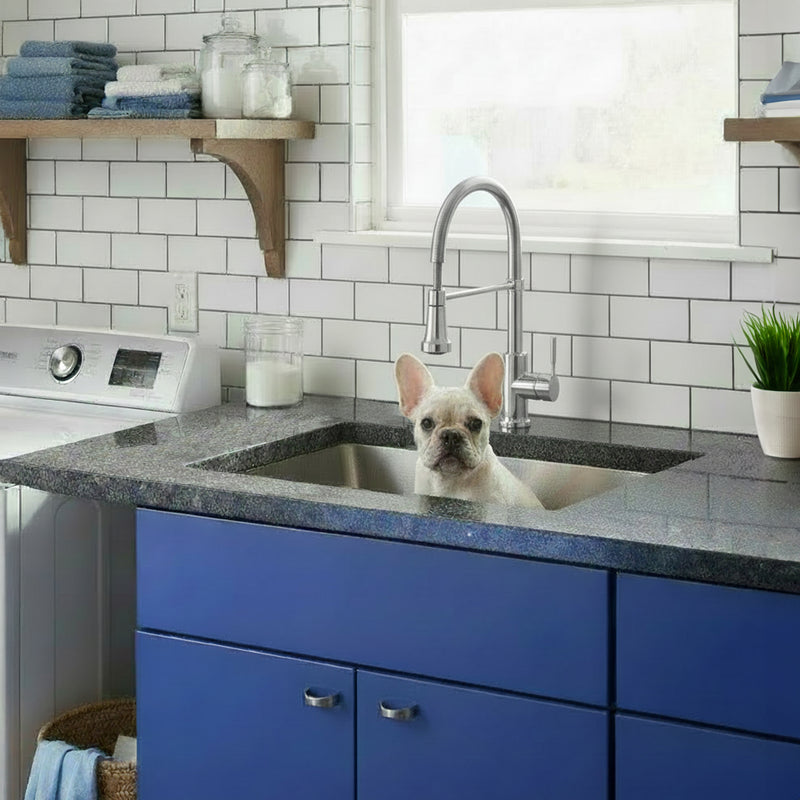 Nantucket Sinks SR2318-12-16 installed in granite over blue cabinets with a puppy in the bowl