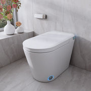 Smart Toilet with Bidet T6805 (image 3)