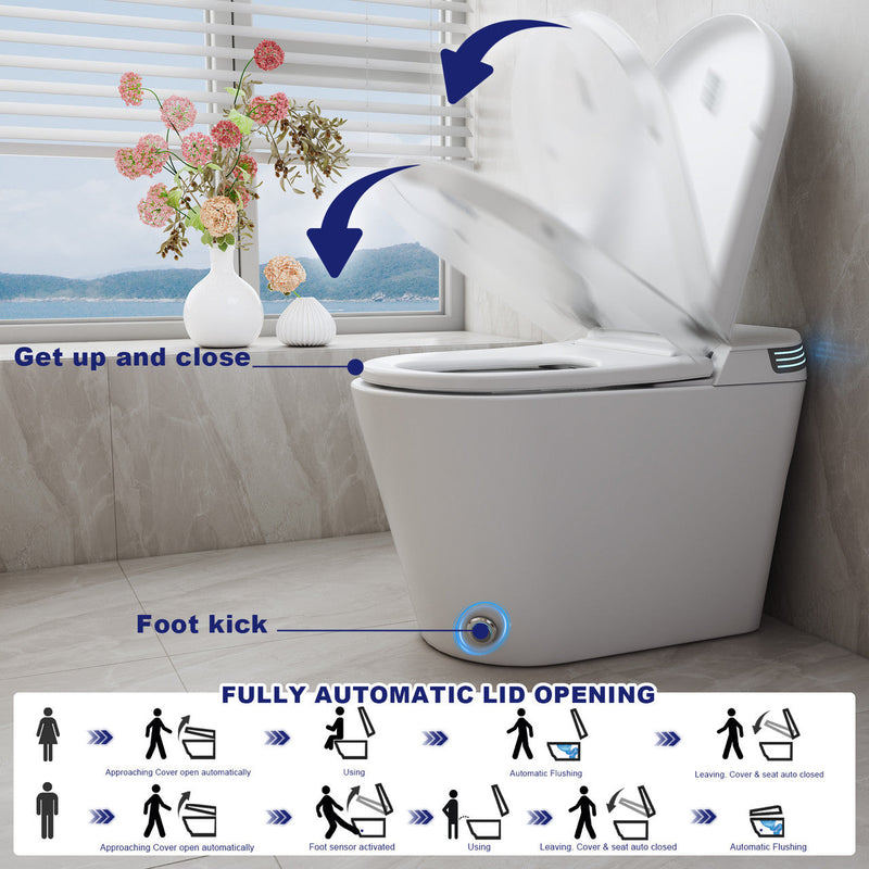 Smart Toilet with Bidet T6805