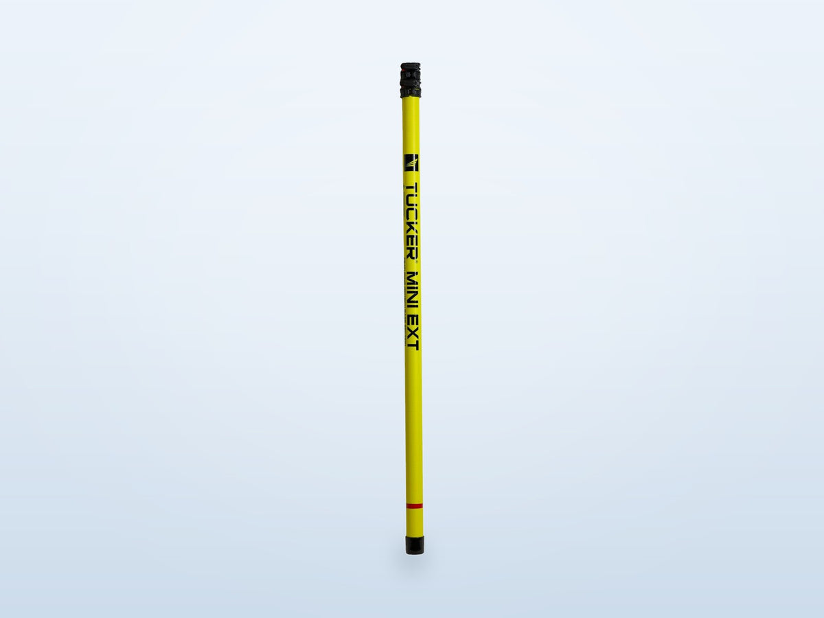 Extension Sections Only